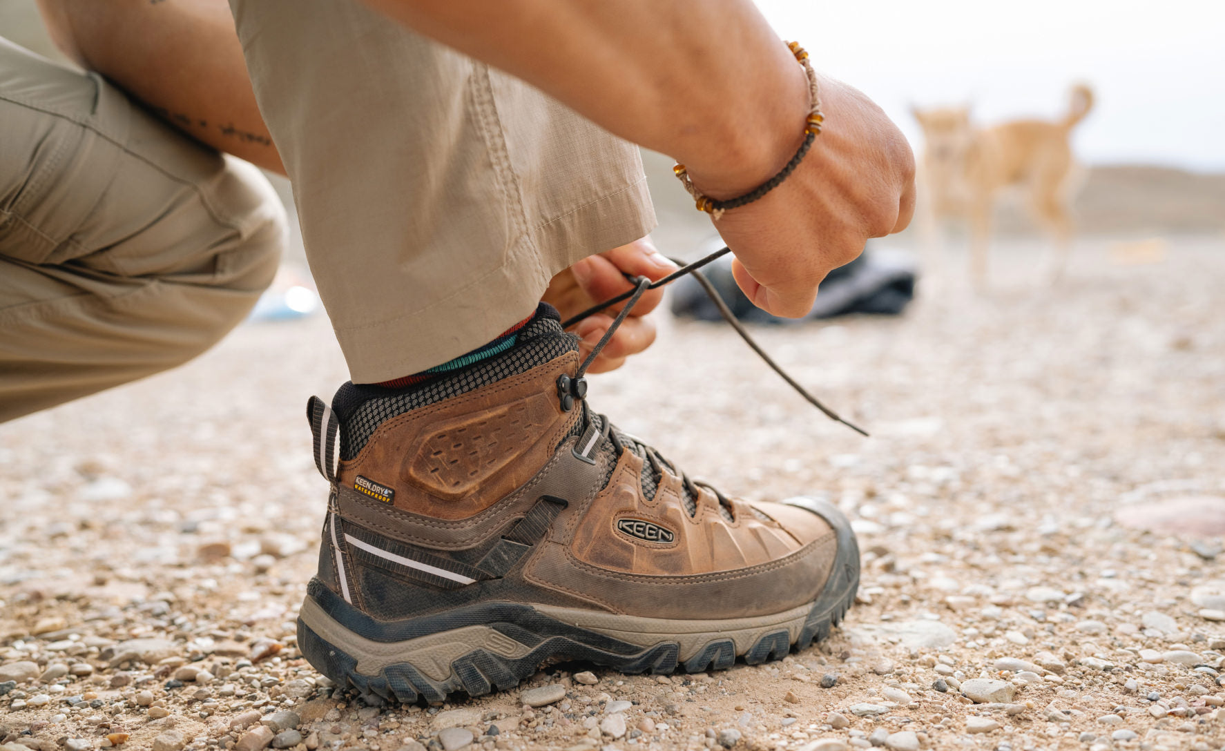 Keen | Men's Targhee III Waterproof Mid Wide Black Olive/Golden Brown