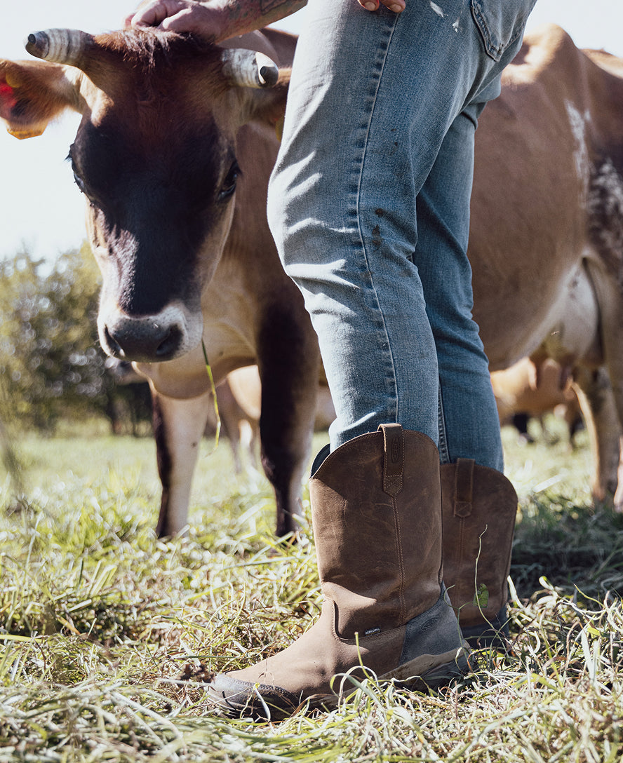 Keen Hot style | Men's Evanston Pull-On Waterproof Boot (Soft Toe) Bison/Black