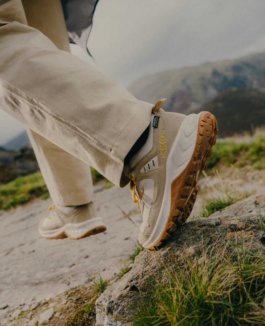 Keen Near Me | Women's Hightrail Waterproof Hiking Shoe Birch/Lily Pad