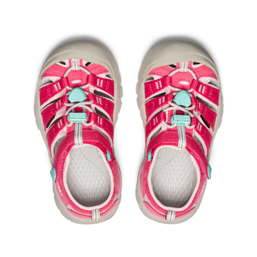 Keen US | Little Kids' Newport H2 Raspberry/Giggle Pink