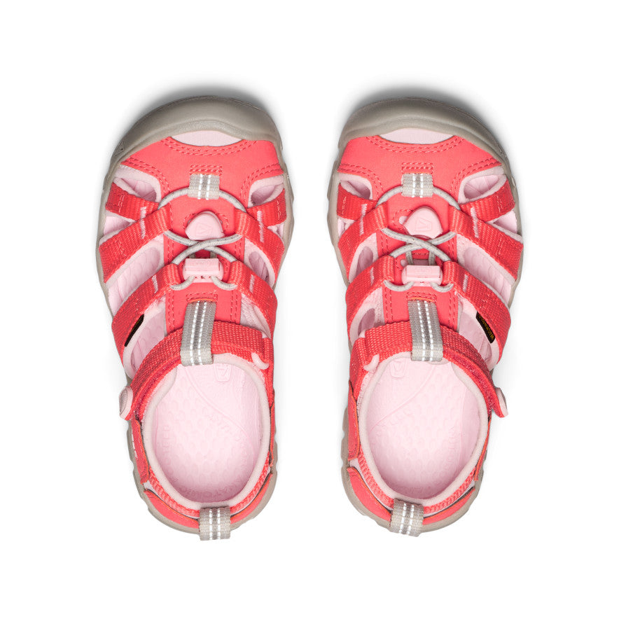 Keen New | Little Kids' Seacamp II CNX Dubarry/Giggle Pink
