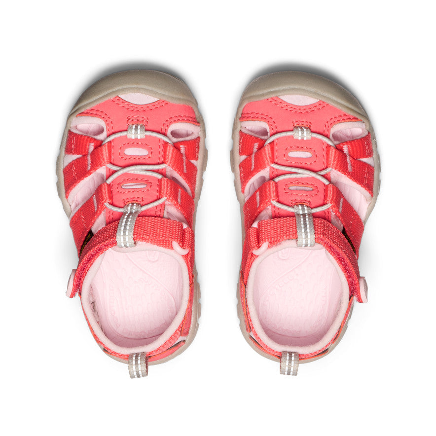 Keen Near Me | Toddlers' Seacamp II CNX Dubarry/Giggle Pink